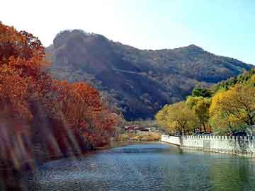 澳门二四六天天彩图库，都市修真小说排行榜